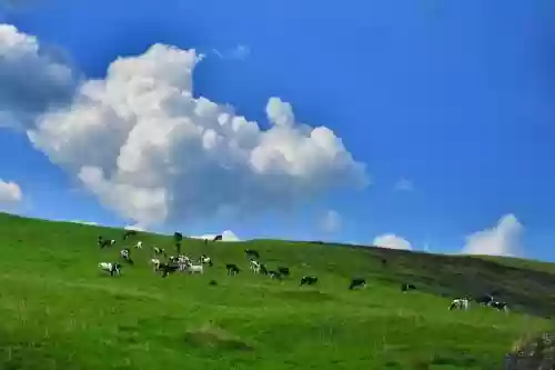 蒙古十大景点(蒙古国的旅游景点)